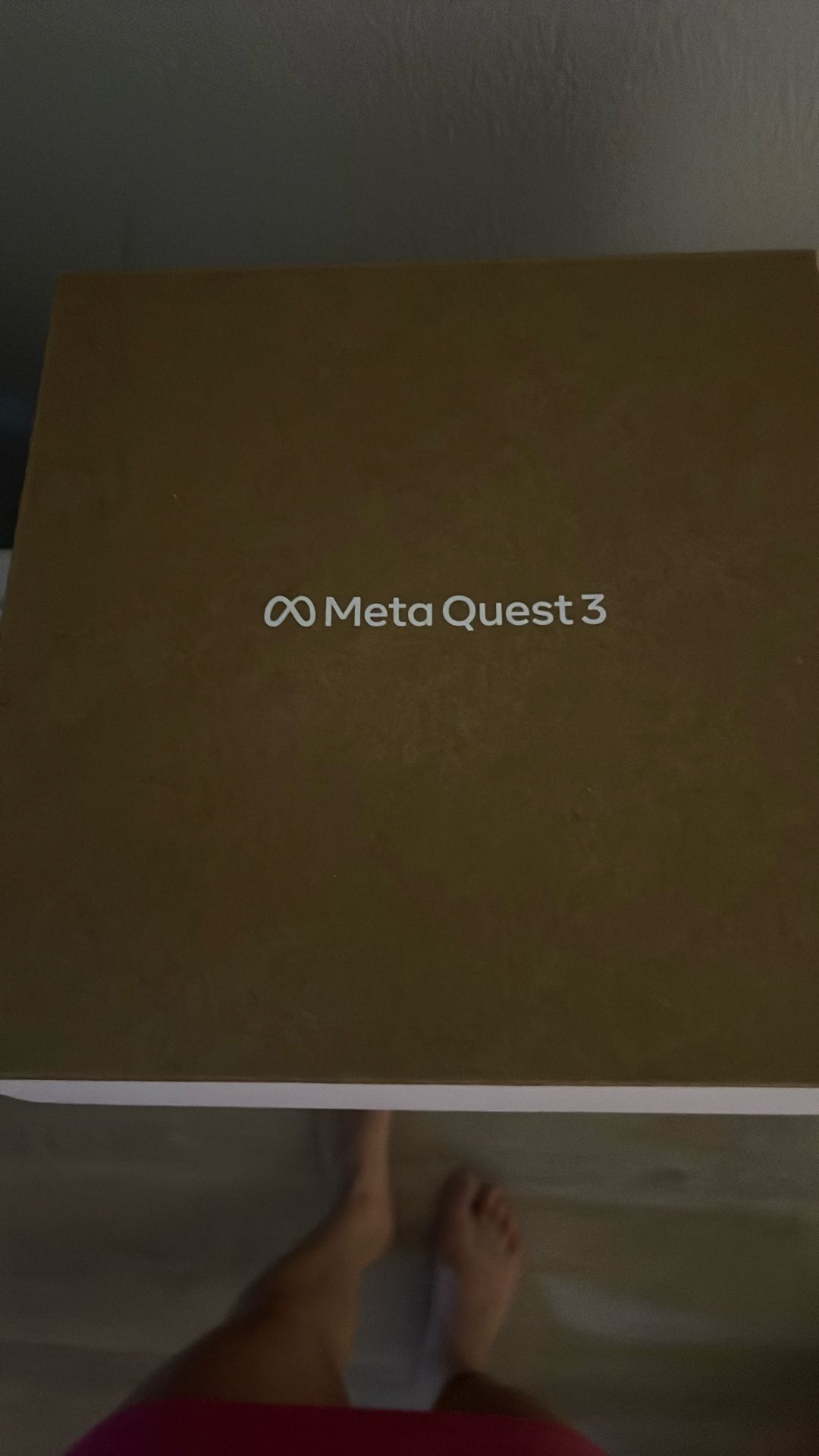 Meta Quest 3