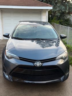 Toyota corolla LE 2019