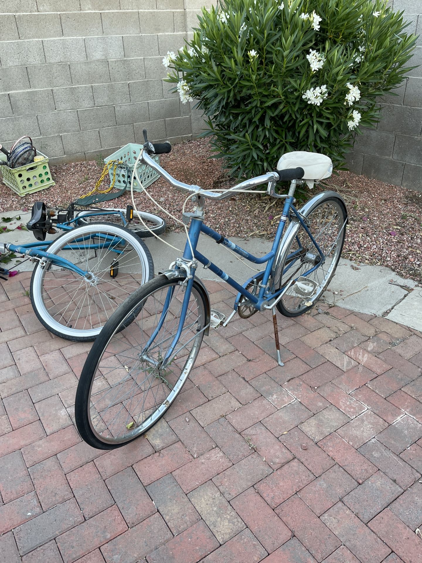 Vintage Bikes 