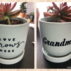 Mothers Day Succulent Pots  