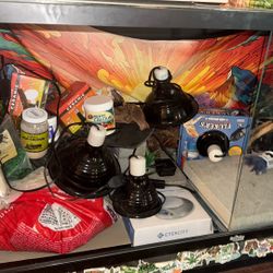 150 Gallon Bearded Dragon Enclosure No Bearded Dragon Included