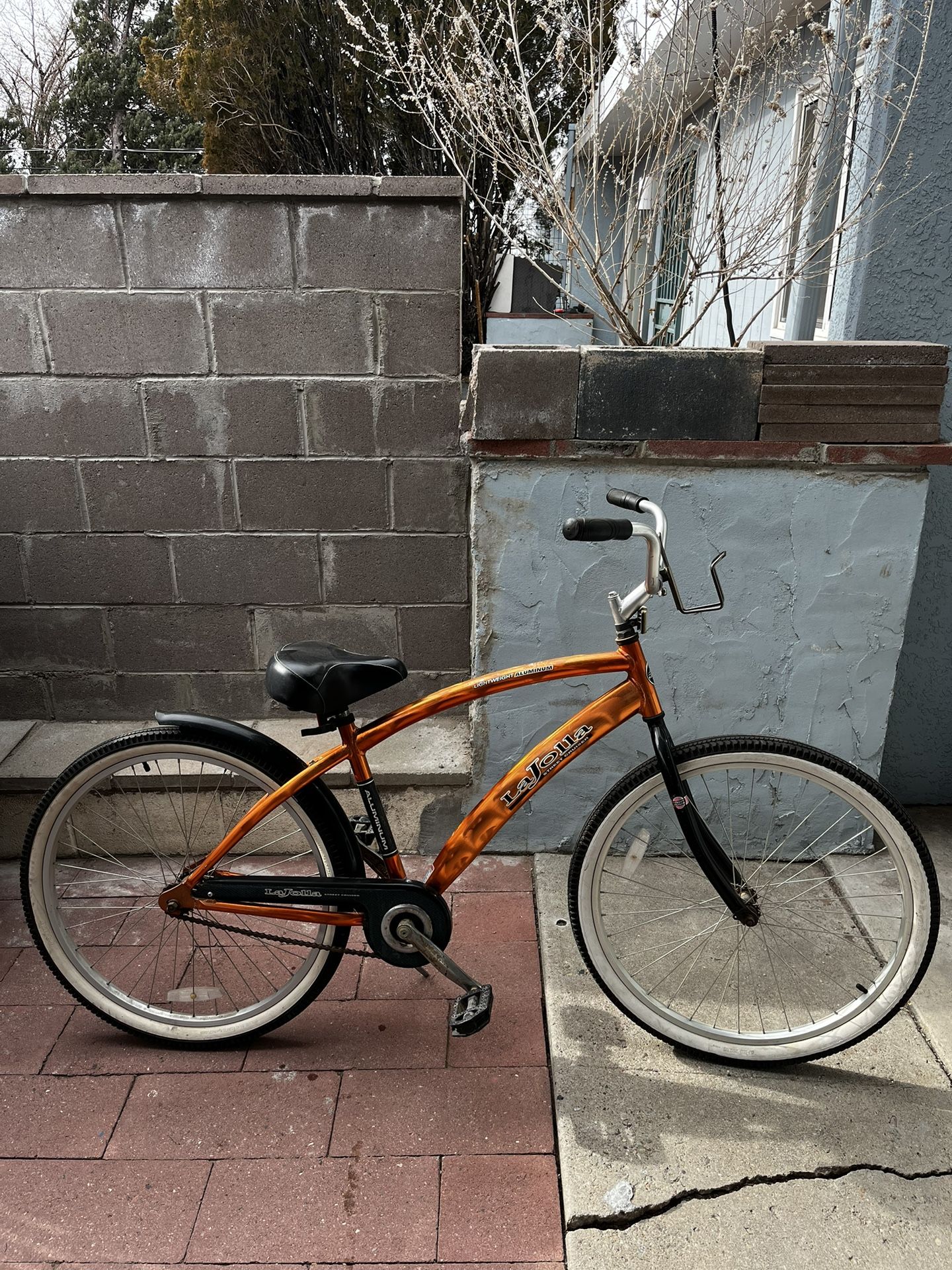 Street Bicycle