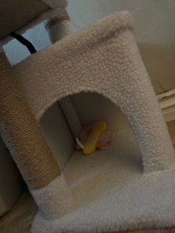 cat tree