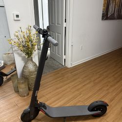 Electric Scooters