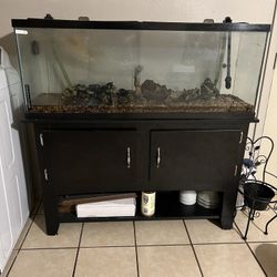 55 Gallon Aquarium With Stand