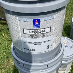 Paint Exterior Flat Gray 