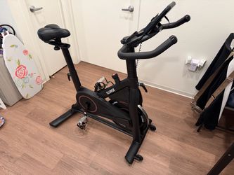 Slunse Indoor Cycling Spin Bike