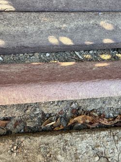 Landscape Edging FREE