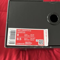 LeBron Fairfax VII 