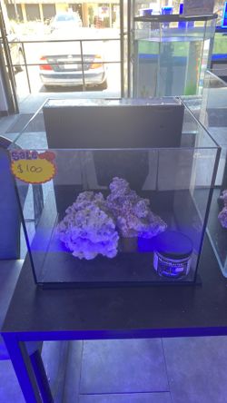 Salt water fish tank
