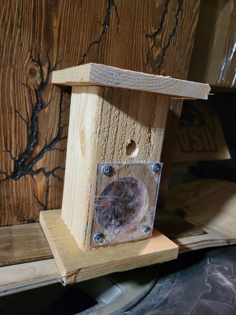 Carpenter Bee Trap