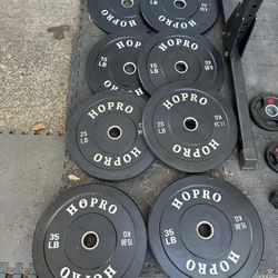 Bumper Plates Set