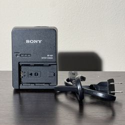 Sony Camera Battery Charger