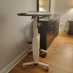 Exercise Bicycle With Desk(iDeerlife)