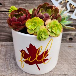 Fall Themed Succulent Planter 