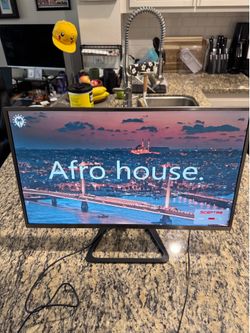 Sceptre 24” LED Monitor w/ HDMI & VGA