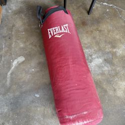 Punching Bag 43”