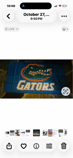 Florida Gators Flag Banner