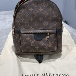LV Palm Springs Monogram Mini Backpack 