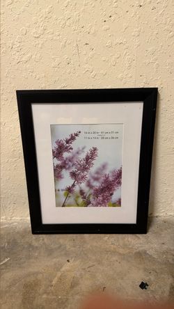 Black Picture Frame 16x20 with Mat
