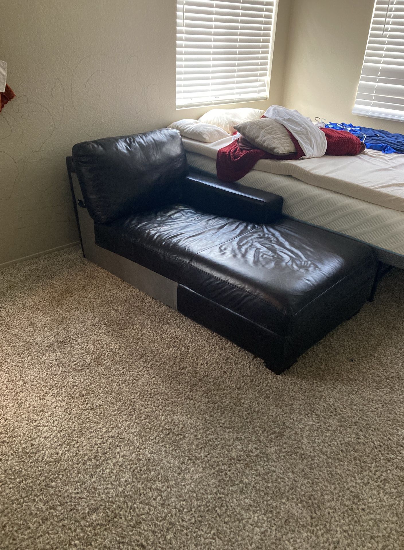 Real Leather Sofa Chair Couch