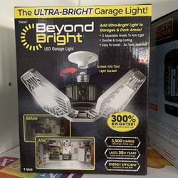 Beyond Bright Light Bulb