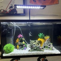 Fish Tank For Sale 10 Gallon