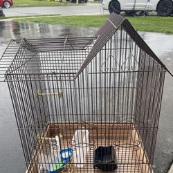 Bird Cage