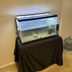 30 gallon Fish Tank And Stand