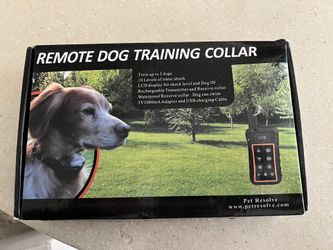 Remote Dog Training Collar