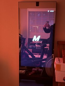 MIRROR -  Plus Mount Hardware And Resistance Bands