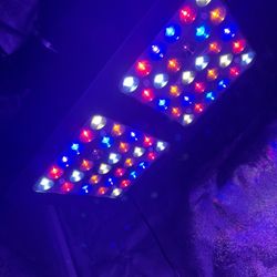 Led Grow Light