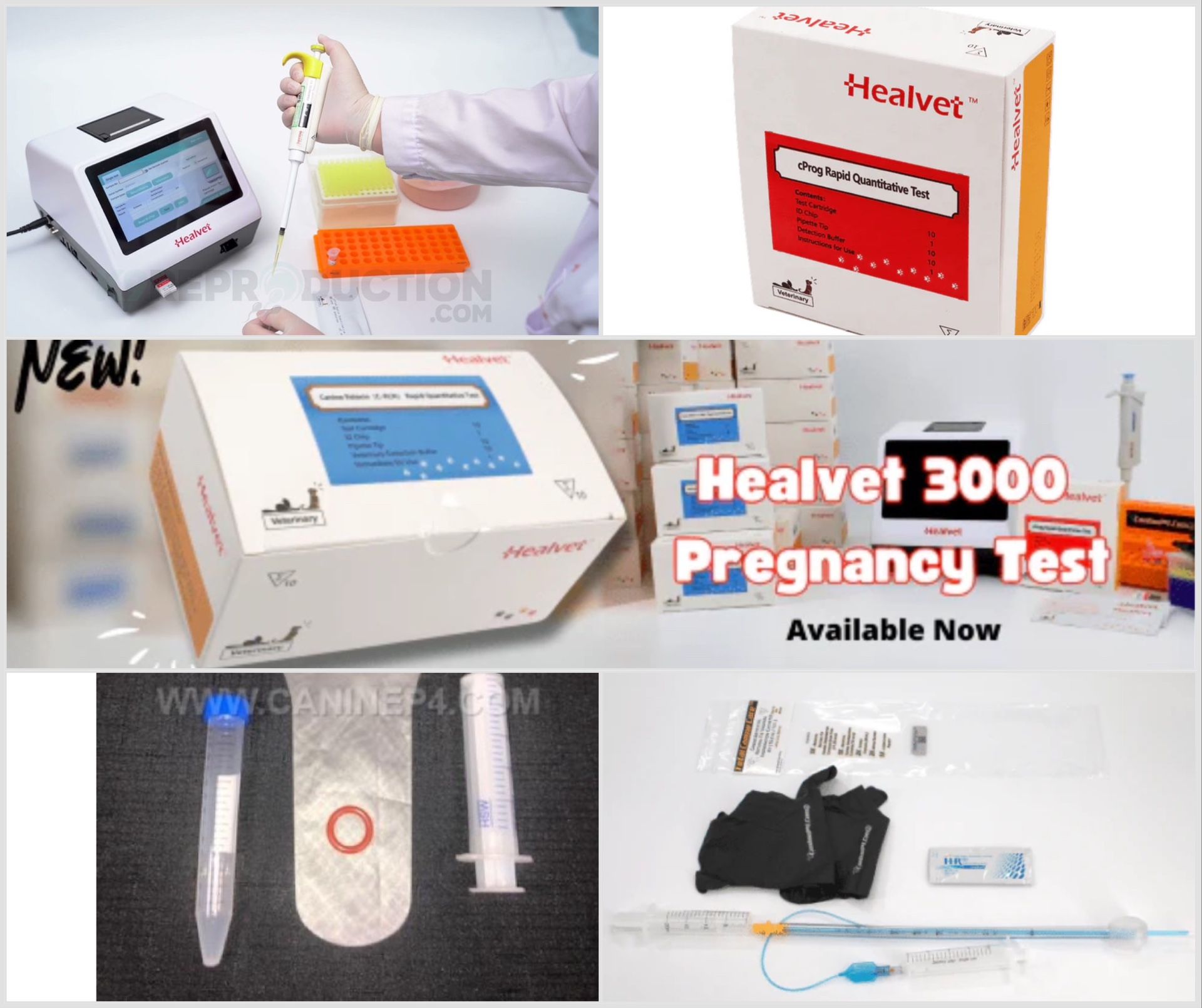 Canine // TCI // Progesterone Reverse Progesterone