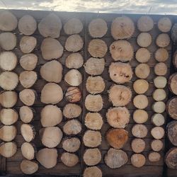 1" Thick Custom wood slices 4"-14"