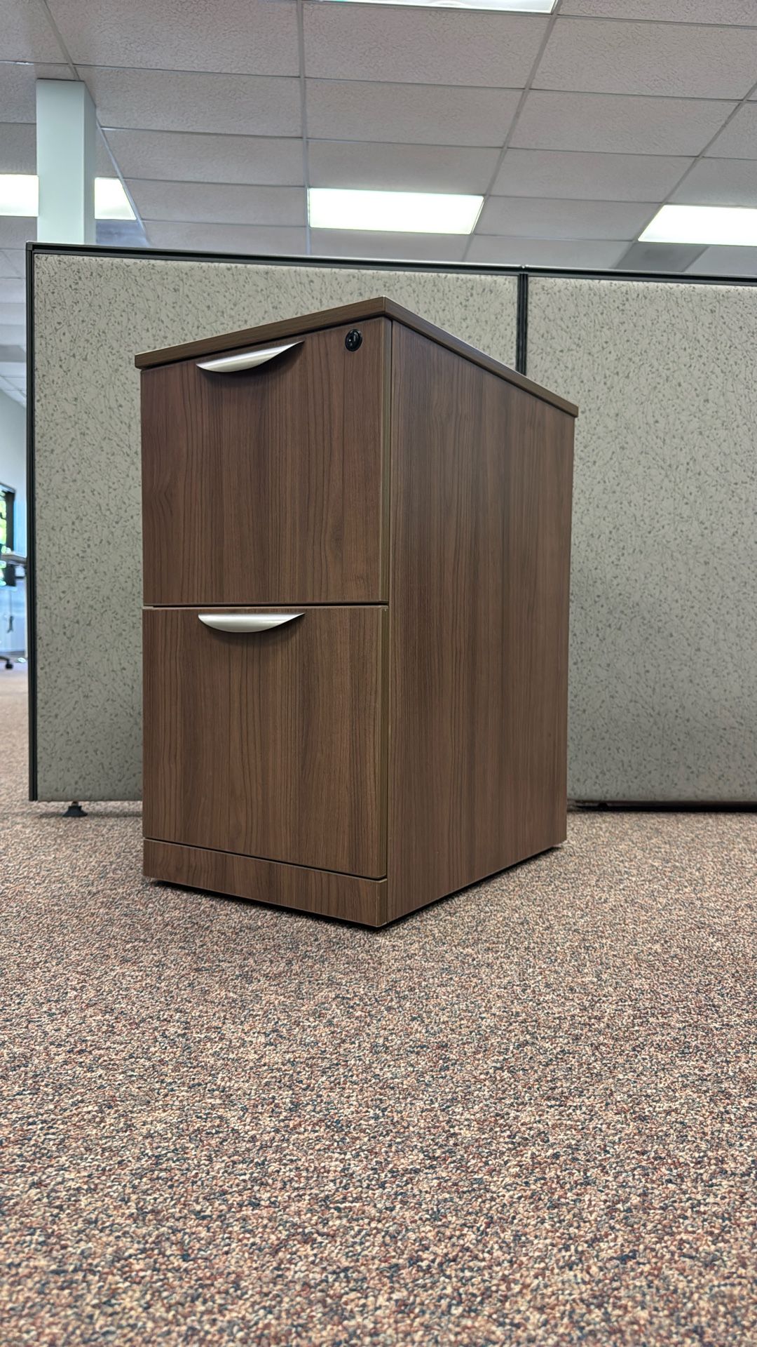 2 Drawer Vertical File Cabinet | Commercial Grade
