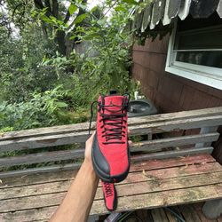 Jordan 12 9/5 No Box