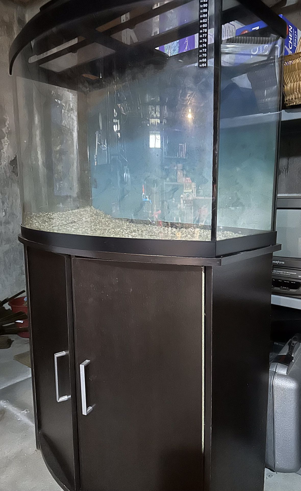 30 Gallon Curved Fish Tank (with Accessories)
