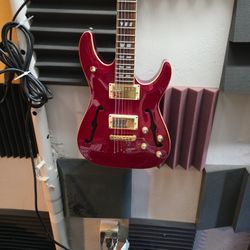 Schecter Electric Guitar