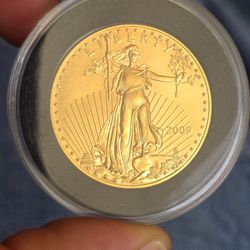 2009 American Gold Eagle 1oz coin