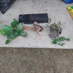 Reptile  Lights And Plants 