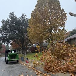 Tree Work Dallastx 