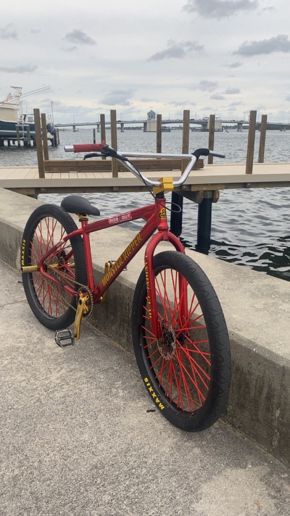 Monster Ripper 29 Back Rim Front Run 27.5 DISC BREAKS!