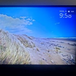 LG 55" Smart TV