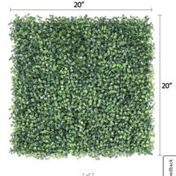 Hedge 