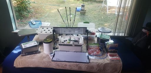 Hydroponic Kits