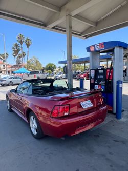 2003 mustang v6 base
