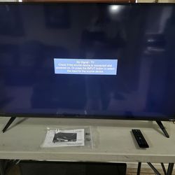 Vizio 50 Inch TV