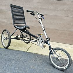 Haluzak Triumf Recumbent Special Mobility Trike