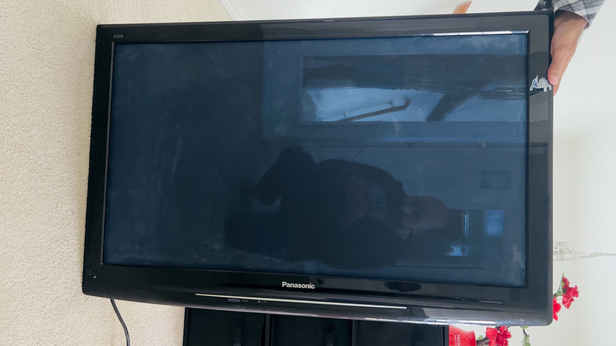 Free Panasonic Plasma TV Comes With Original Remote Control