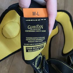 Cyclone Guardian Safety Harness